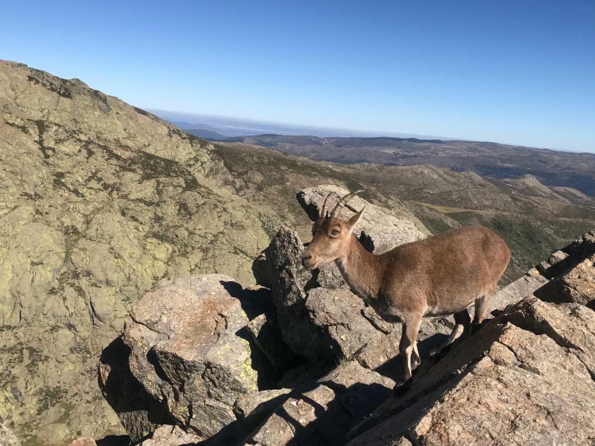 Вилла El Llano - El Hornillo, Tu Pueblo En La Sierra De Gredos. Экстерьер фото